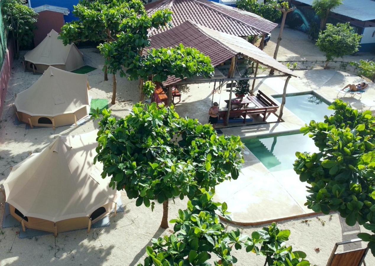 Tamahostel & Glamping Hostal Tamarindo