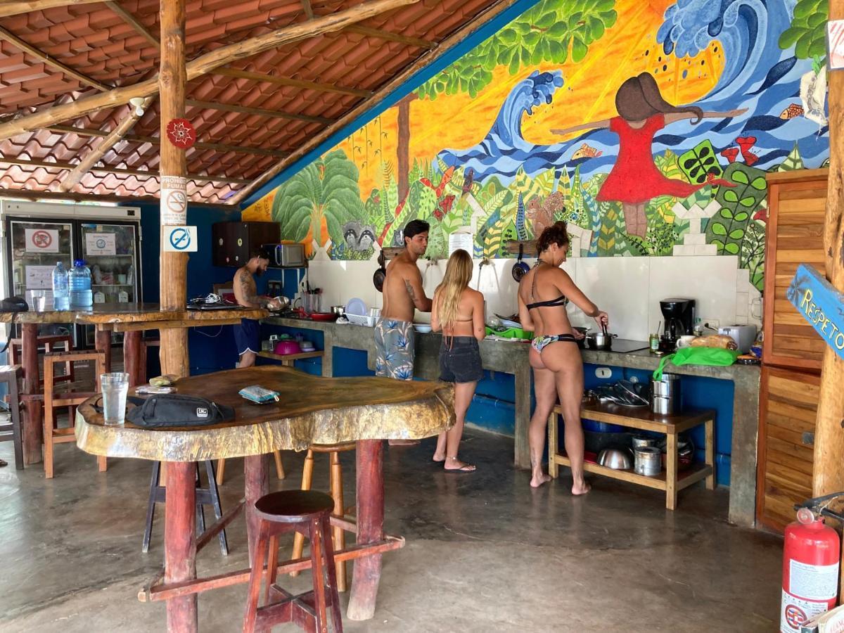 Tamahostel & Glamping Hostal