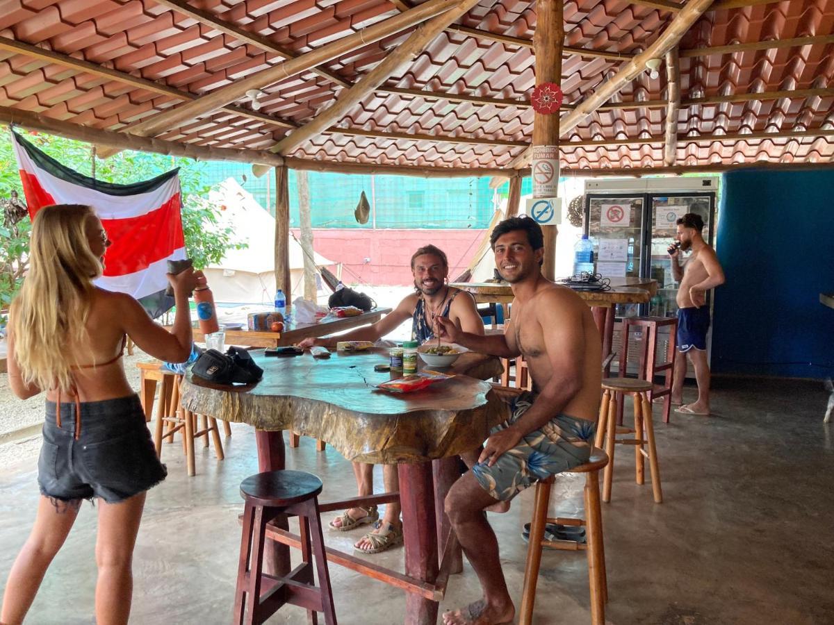 Hostal Tamahostel & Glamping