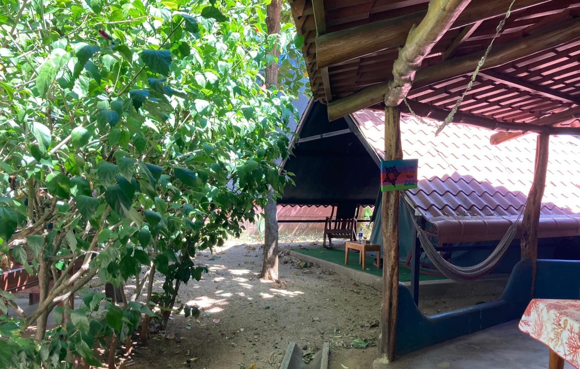 Hostal Tamahostel & Glamping