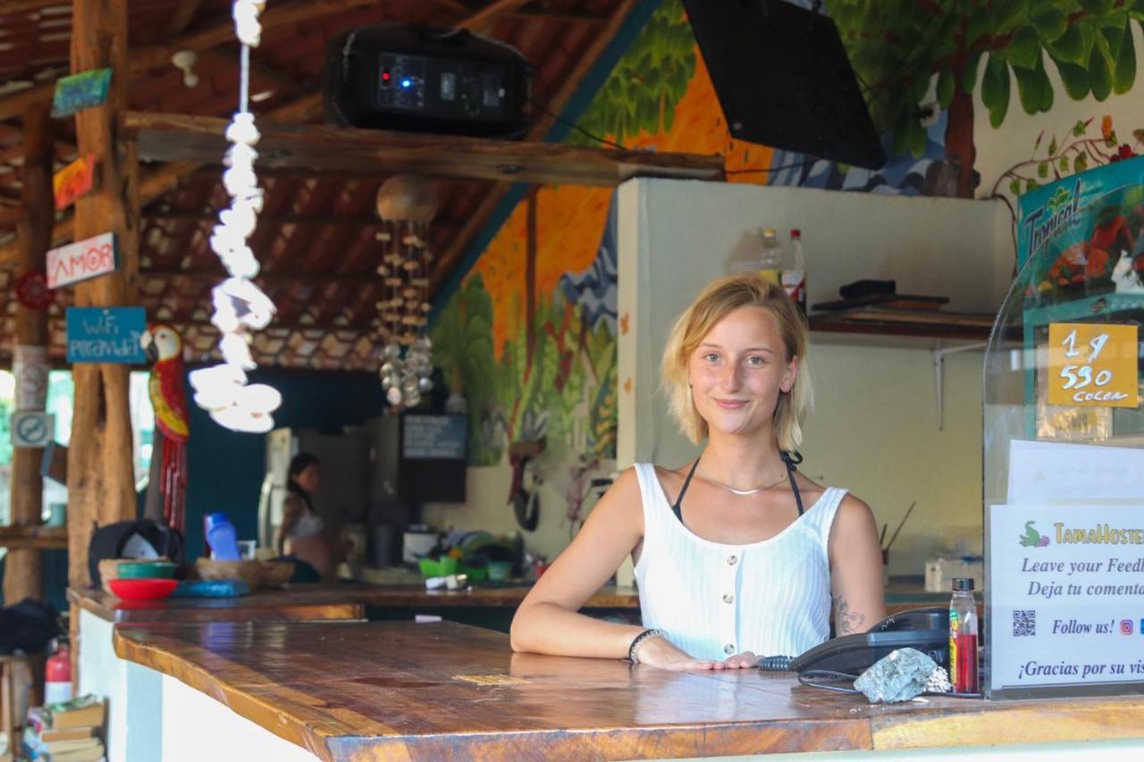 Hostal Tamahostel & Glamping
