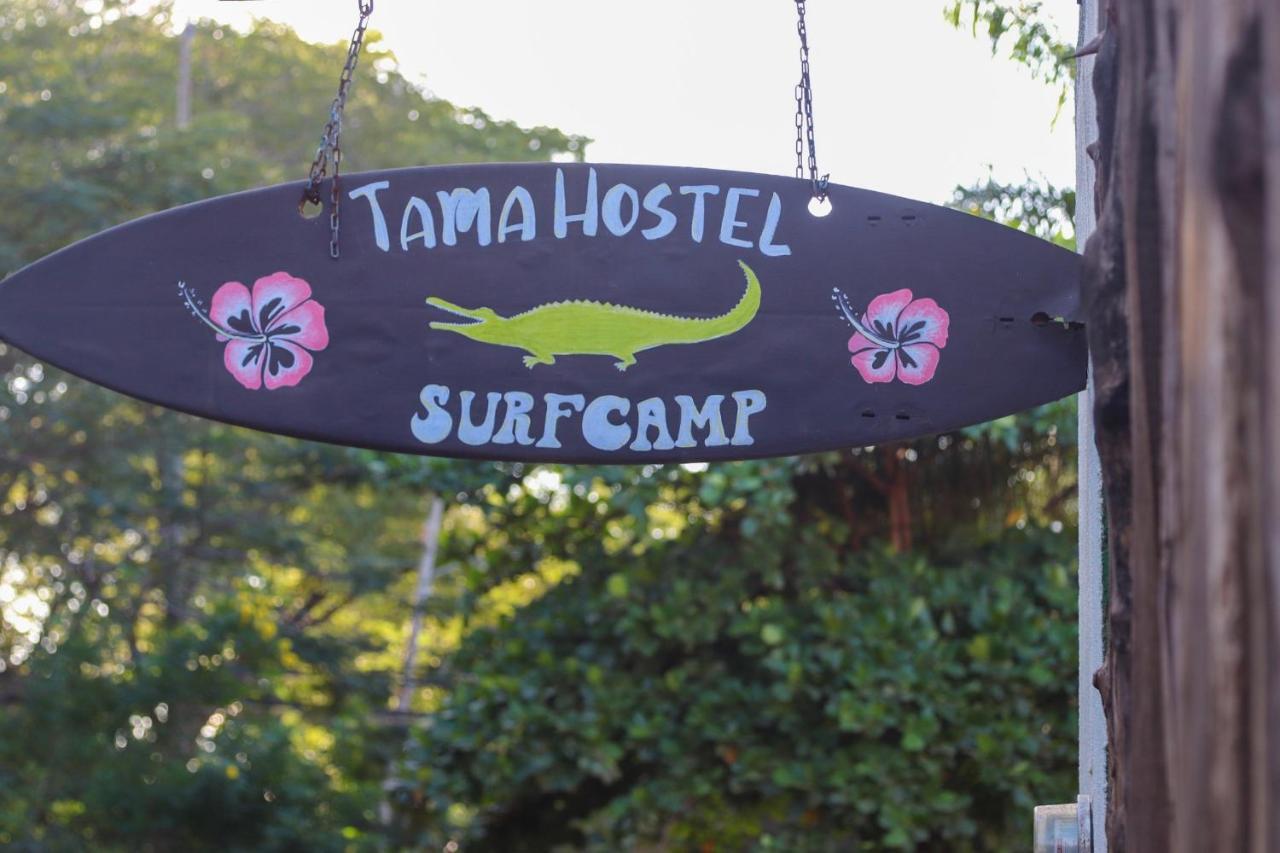 Tamahostel & Glamping Hostal